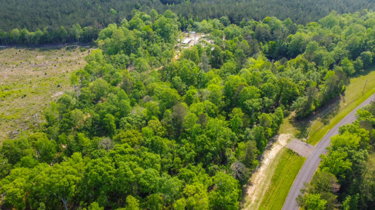 DCIM101MEDIADJI_0757