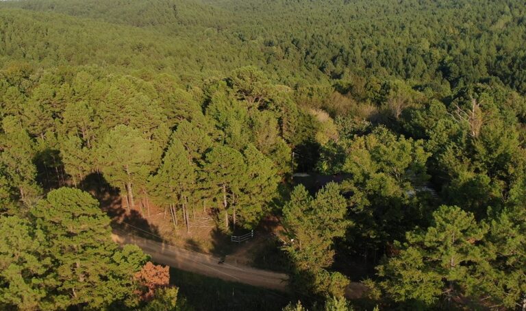 Screenshot 2024-09-23 083828