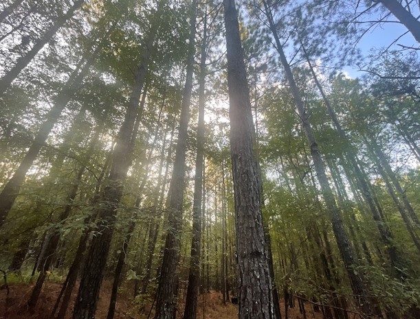 Screenshot 2024-09-23 124133