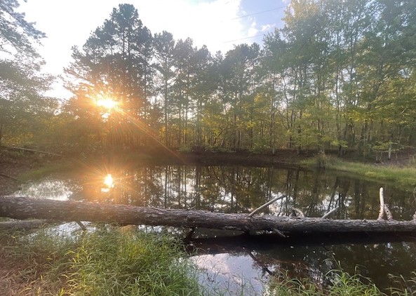 Screenshot 2024-09-23 124221