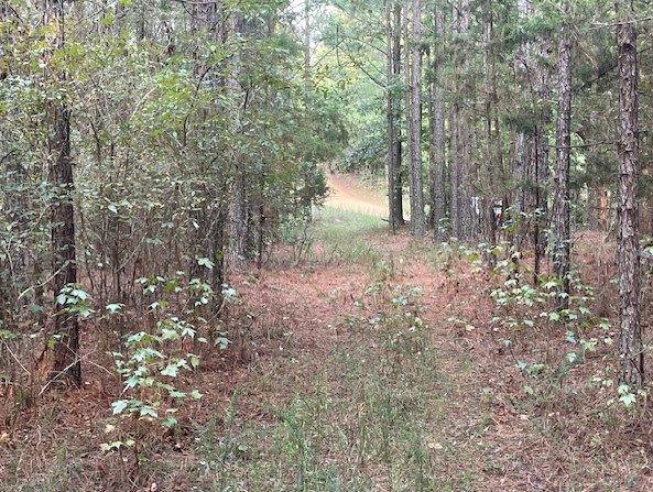 Screenshot 2024-09-23 124234