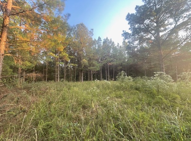 Screenshot 2024-09-23 124243