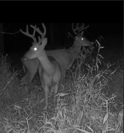 Screenshot 2025-09-19 122307