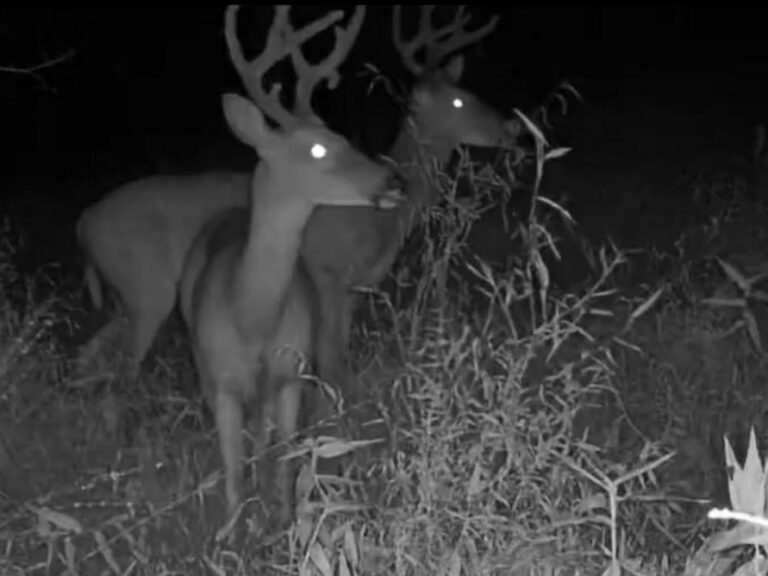 Screenshot 2025-09-19 122343