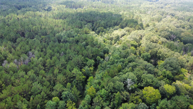 DCIM102MEDIADJI_0030