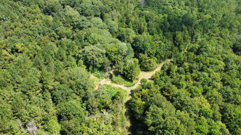 DCIM102MEDIADJI_0039