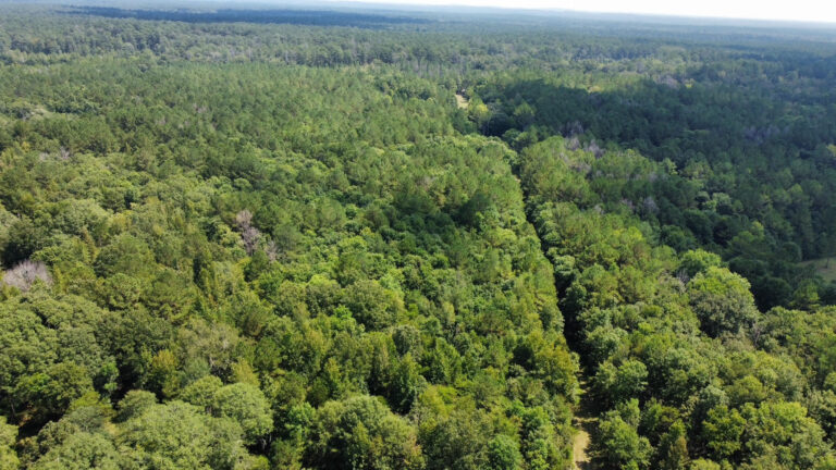 DCIM102MEDIADJI_0040