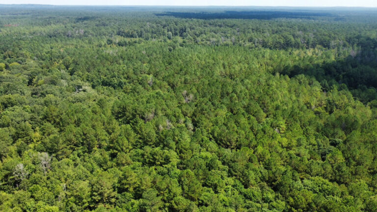 DCIM102MEDIADJI_0041