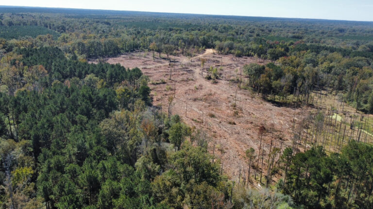 DCIM102MEDIADJI_0138