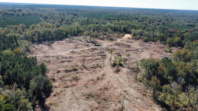 DCIM102MEDIADJI_0139