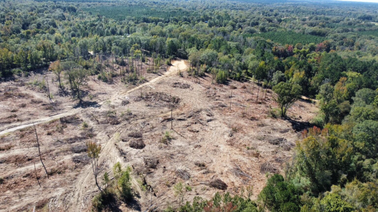 DCIM102MEDIADJI_0140