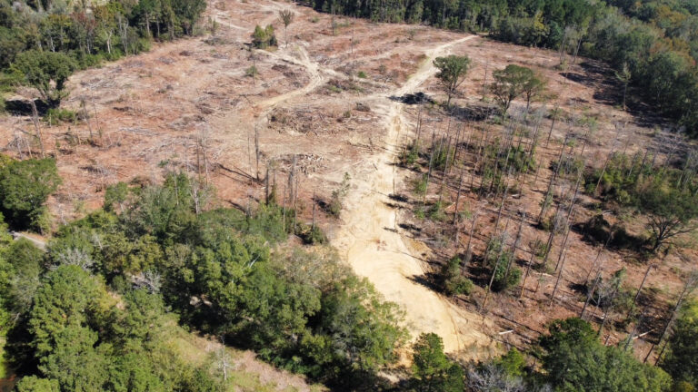 DCIM102MEDIADJI_0144