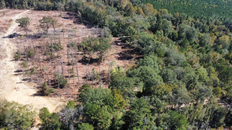 DCIM102MEDIADJI_0145