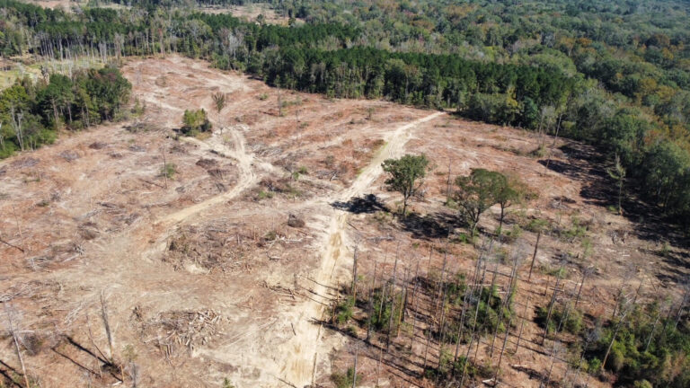 DCIM102MEDIADJI_0146