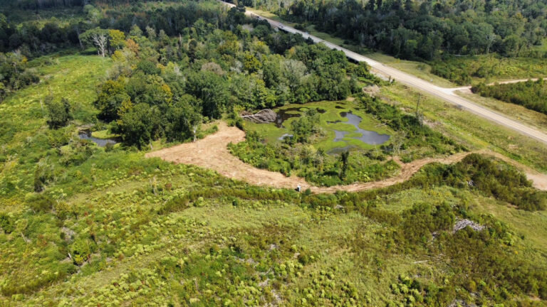 DCIM102MEDIADJI_0103