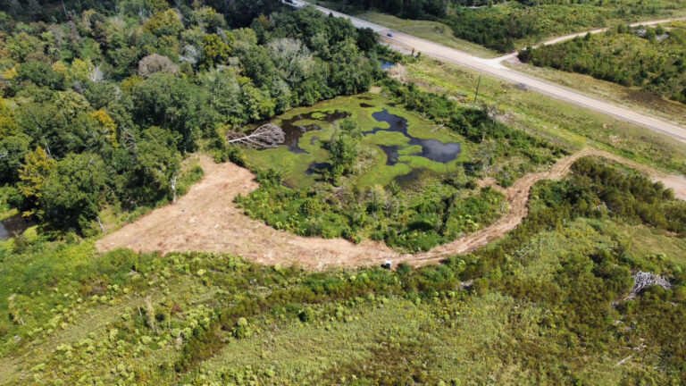 DCIM102MEDIADJI_0104