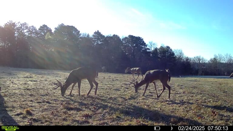 016579005780197-27-3-02242025075013-SYFW02985