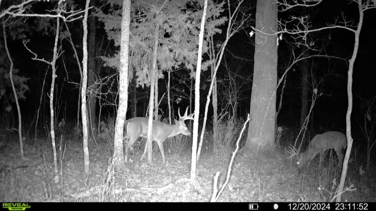 016579005780197-45-4-12202024231152-SYFW00999