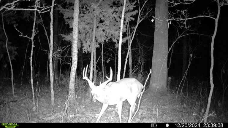 016579005780197-47-3-12202024233908-SYFW01006