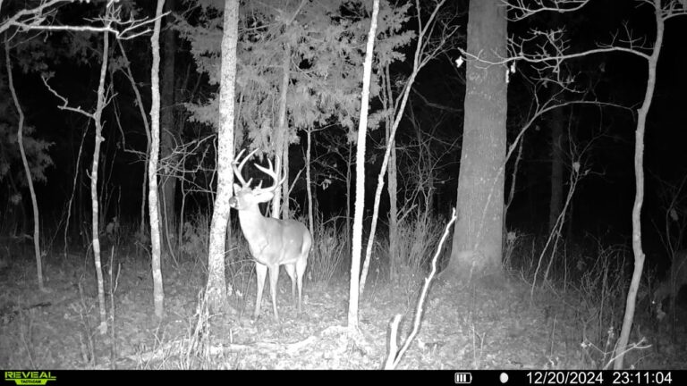 016579005780197-57-4-12202024231104-SYFW00997