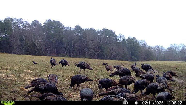 016579005780197-71-3-02112025120622-SYFW01452