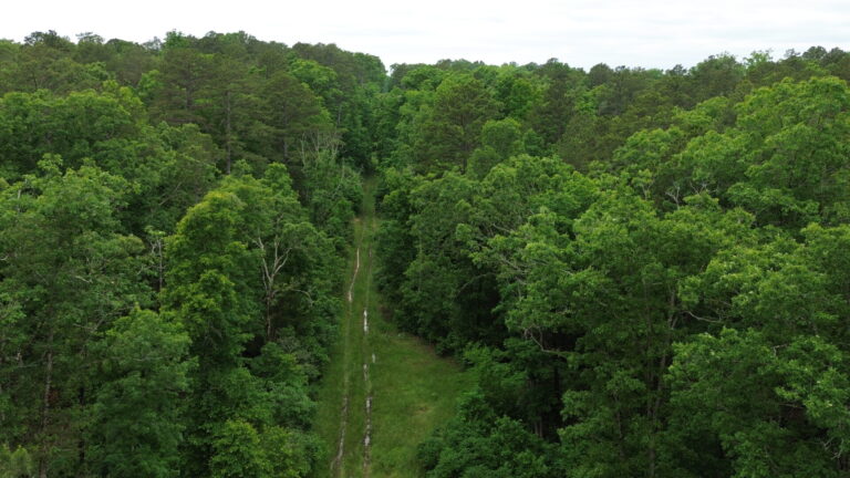 DCIM100MEDIADJI_0113