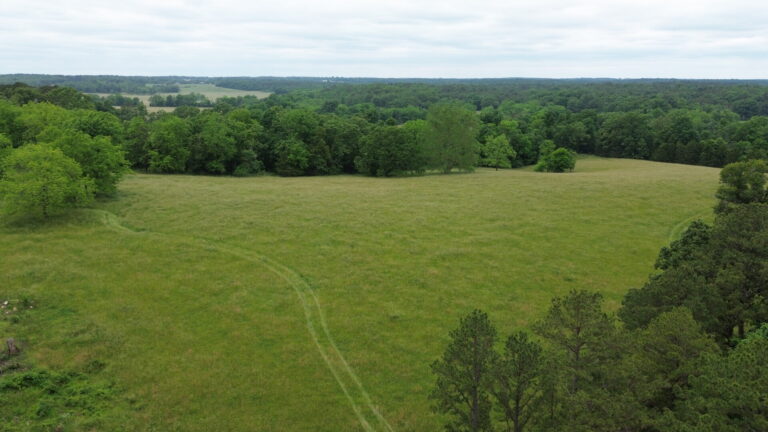 DCIM100MEDIADJI_0114