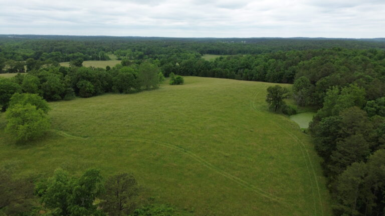 DCIM100MEDIADJI_0115