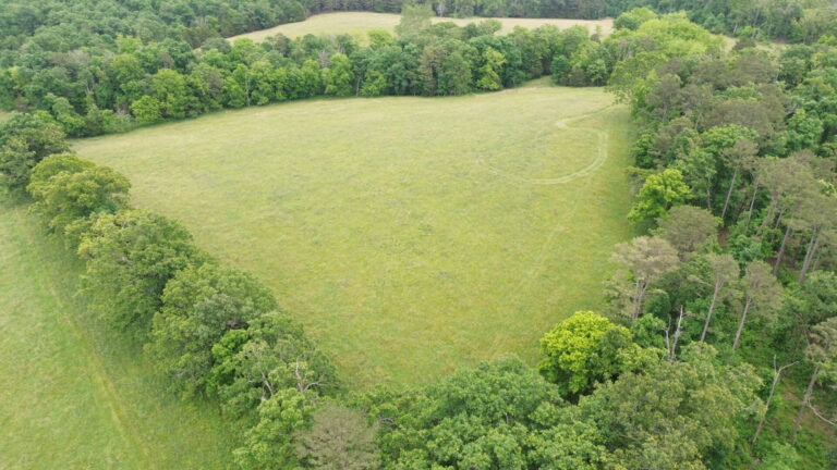 DCIM100MEDIADJI_0118