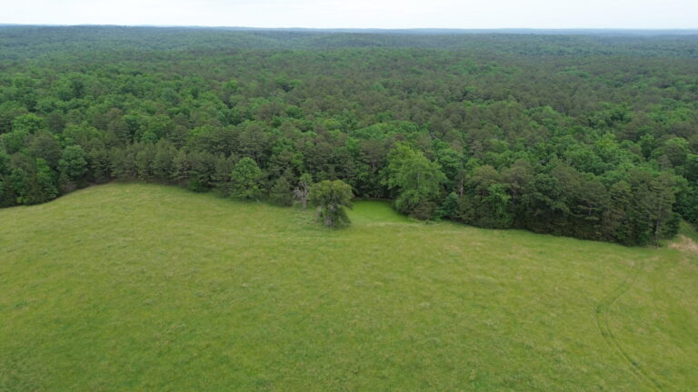 DCIM100MEDIADJI_0119