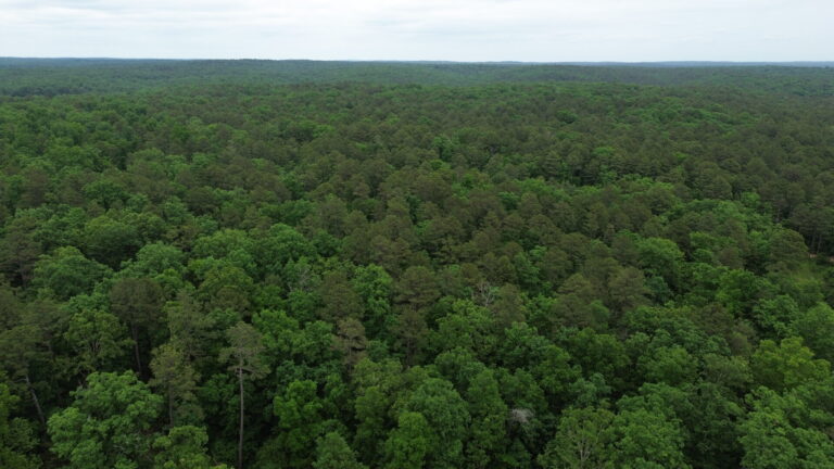 DCIM100MEDIADJI_0121