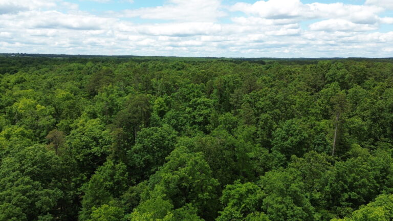 DCIM100MEDIADJI_0155