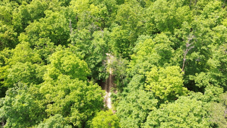 DCIM100MEDIADJI_0156