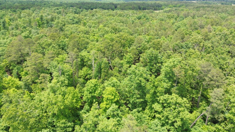 DCIM100MEDIADJI_0157