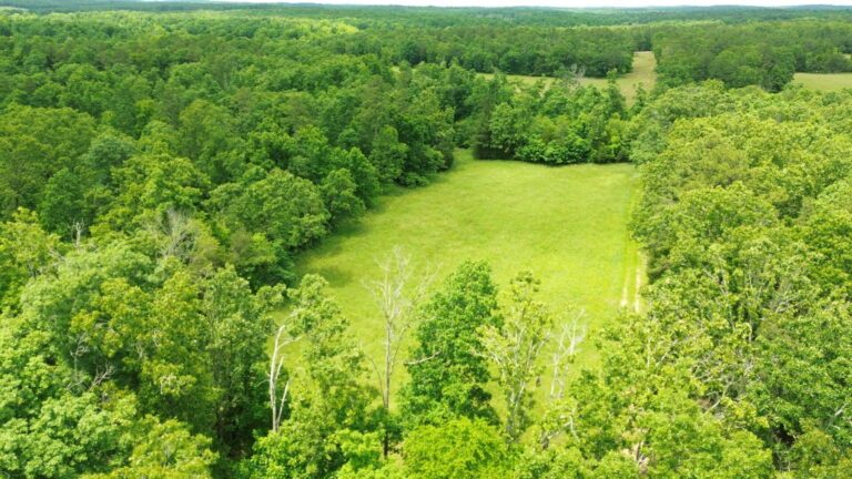 DCIM100MEDIADJI_0159