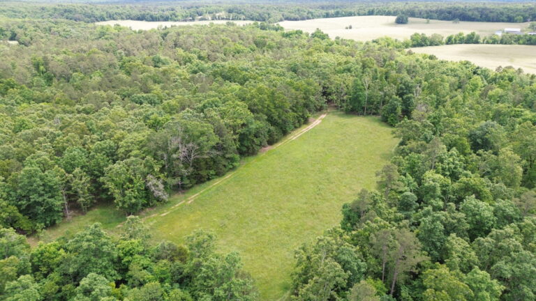 DCIM100MEDIADJI_0161