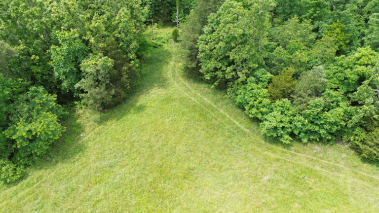 DCIM100MEDIADJI_0164