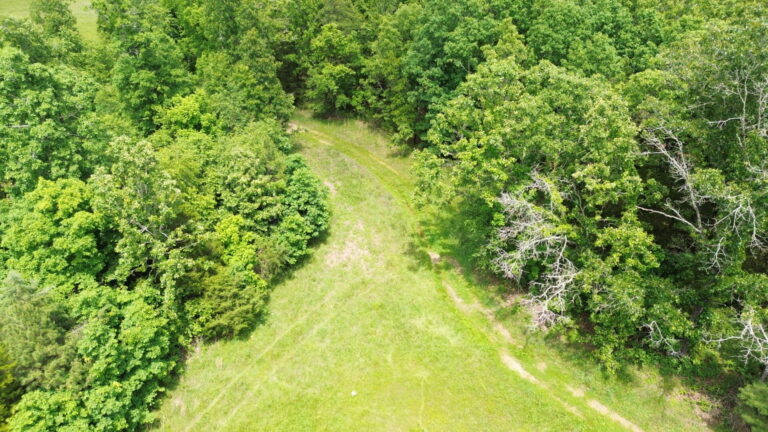 DCIM100MEDIADJI_0165