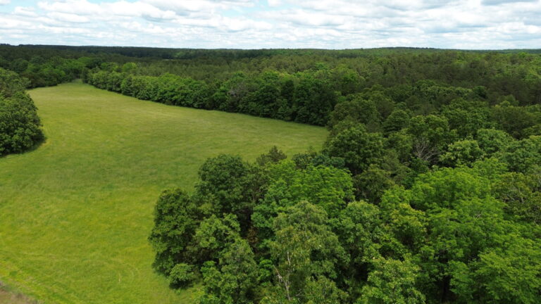 DCIM100MEDIADJI_0166