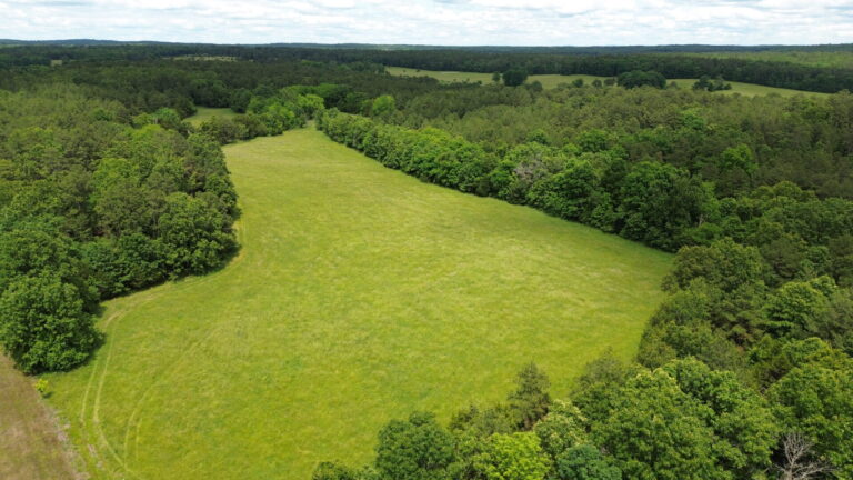 DCIM100MEDIADJI_0168