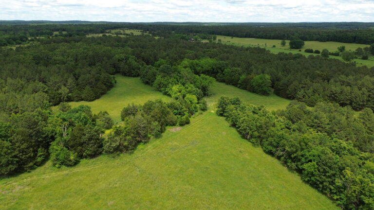 DCIM100MEDIADJI_0169