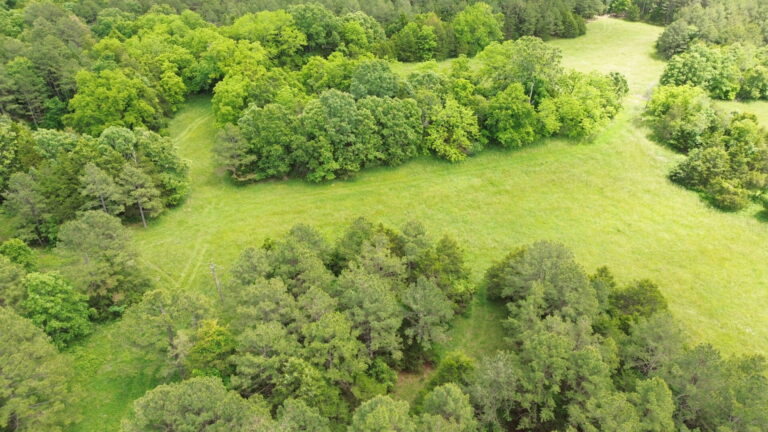 DCIM100MEDIADJI_0170