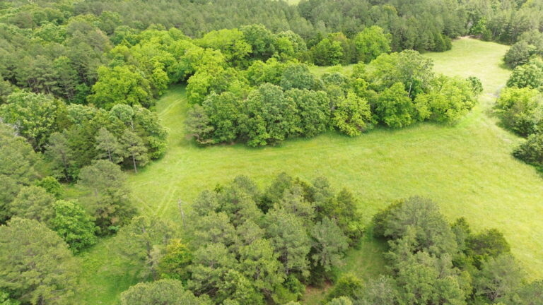 DCIM100MEDIADJI_0171