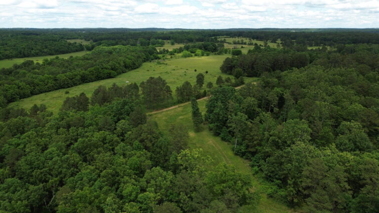 DCIM100MEDIADJI_0172