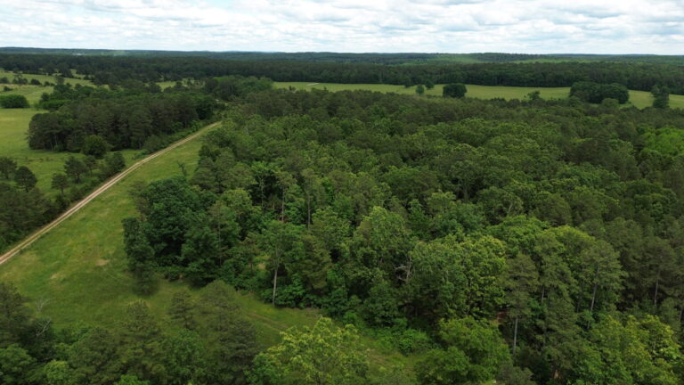 DCIM100MEDIADJI_0173