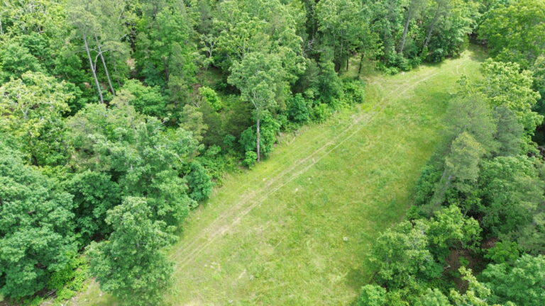 DCIM100MEDIADJI_0174