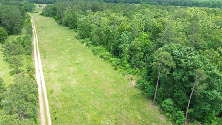 DCIM100MEDIADJI_0176