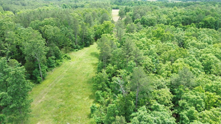 DCIM100MEDIADJI_0177