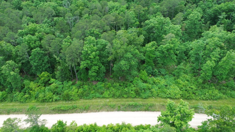 DCIM100MEDIADJI_0188