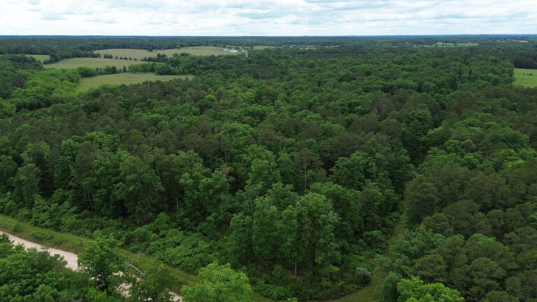 DCIM100MEDIADJI_0189